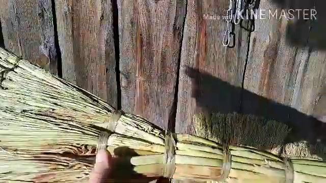 В Сибири тоже веники растут. смотреть онлайн
