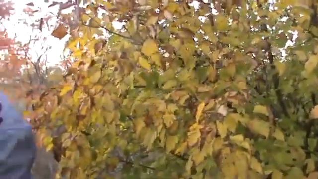 "Осенняя песня" - авторская песня Владимира Столярова смотреть онлайн