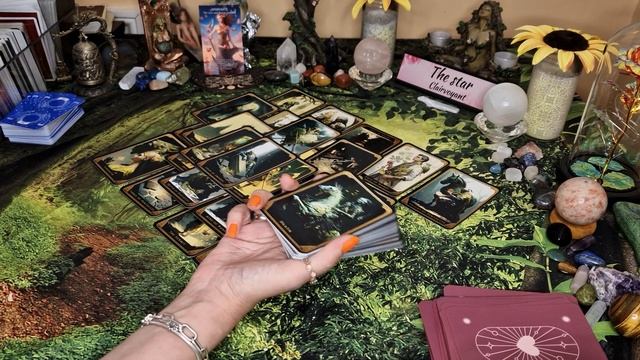 ? Singles ?what is next in love? pick a card tarot ? timeless ✨️ смотреть онлайн