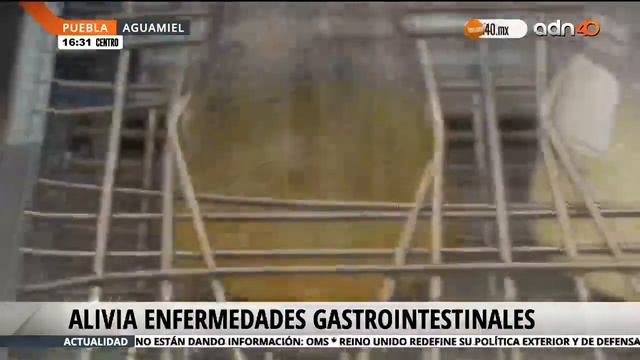 Aguamiel como ayuda a sanar problemas gastrointestinales смотреть онлайн