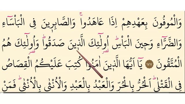 Surah Baqarah, Verses 177-178 سورۃ البقرۃ #Lesson32. 🌷Learn Quran with Tajweed смотреть онлайн