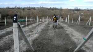 Малина Маравилла. Весна! Что делаем ...