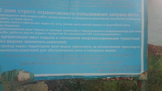 Поход за грибами Маслята и мышата Крым 4 смотреть онлайн