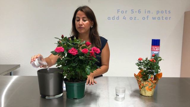 How to use the Chrysal AquaPad смотреть онлайн