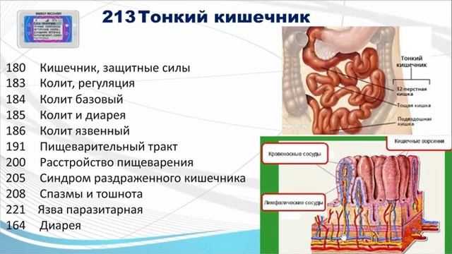 Желудочно-кишечный тракт. Восстановление прибором БРТ смотреть онлайн