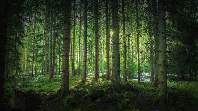 Истории из жизни 📕 Как сосредоточиться на ребенке, когда муж не … 📘 Жизненные истории смотреть онлайн