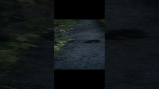 Что там такое 20220610 смотреть онлайн