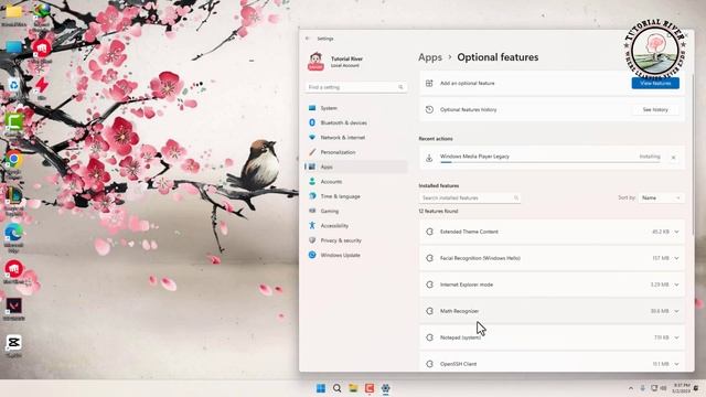 How To Download & Install Windows Media Player On Windows 11 [ Easy Steps ] 2024 смотреть онлайн