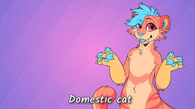 What Your Fursona Species Says About You смотреть онлайн