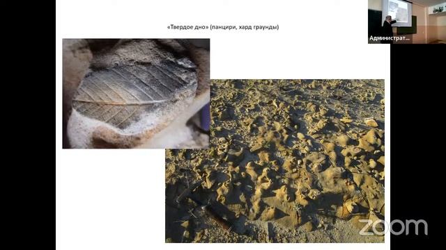 15 февраля, геоэкологическая школа, 12.30-17.00