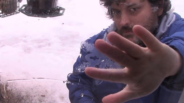 How To Stop Birds From Striking Your Windows смотреть онлайн