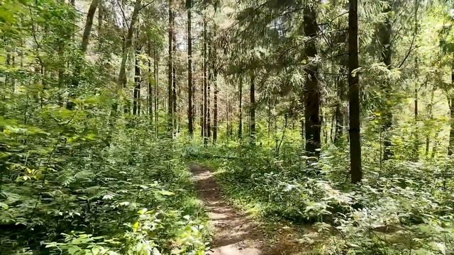 Гатчинские гейзеры: чудо природы или приманка для туристов? смотреть онлайн