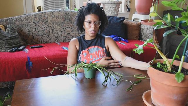Plant Haul #3 смотреть онлайн