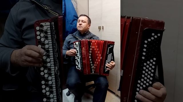 Баян Тульский "Этюд-205м" смотреть онлайн