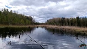 Рыбалка на реке Грузинка в Лен. области.