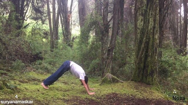 SURYANAMASKAR MANTRA Y PRÁCTICA смотреть онлайн