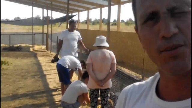 День 25.Гости приезжают всё чаще,это не может не радовать. смотреть онлайн