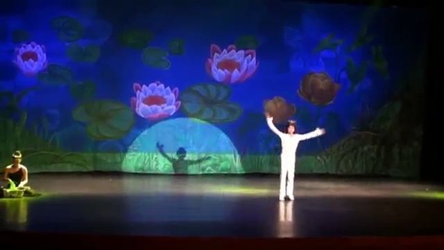 отрывок из балета "Дикие лебеди" смотреть онлайн