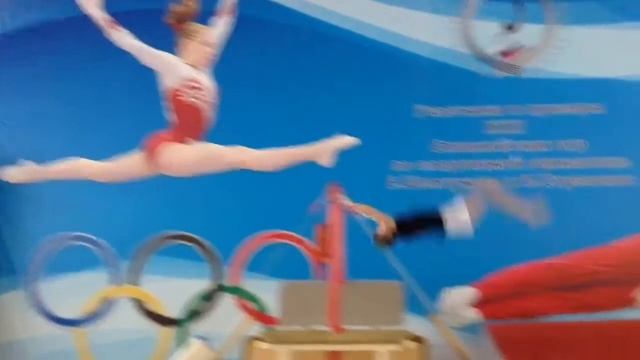 ДВОЙНОЕ САЛЬТО С ТУРНИКА (B) смотреть онлайн