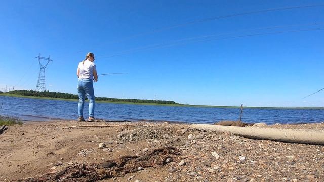 Рыбалка ? на севере. Отдых с пользой. Наловили щуки. Нефтеюганск ХМАО Югра 29.07.2022 смотреть онлайн
