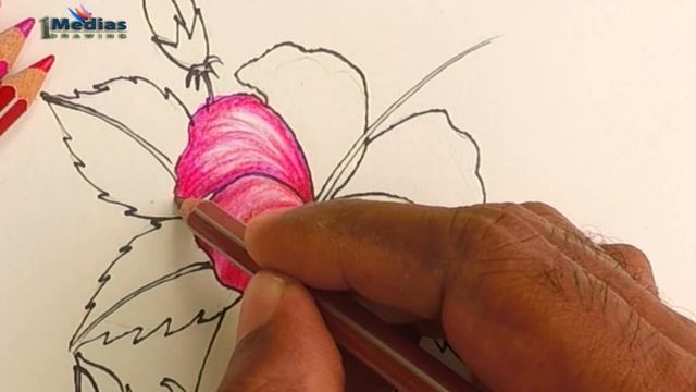 How to Draw a Hibiscus Flower Step by Step (Very Easy) смотреть онлайн