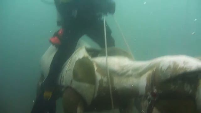 20161228 Capernwray 720p JW смотреть онлайн