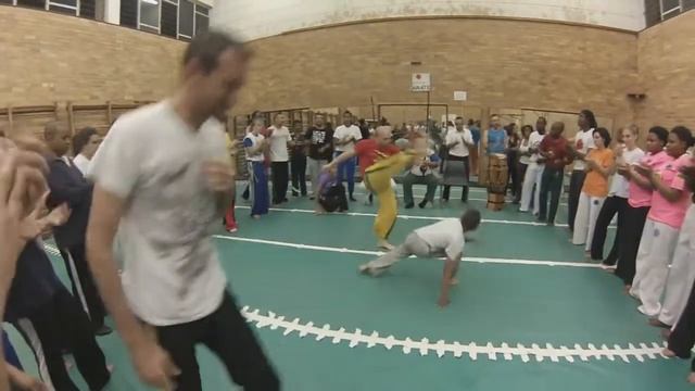 capoeira animals.wmv смотреть онлайн