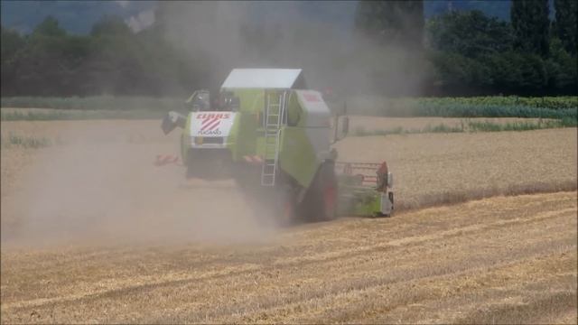 CLAAS TUCANO 430 + barra C 450,trebbiatura frumento 2017 смотреть онлайн
