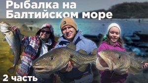 2/2. НЕЗАБЫВАЕМАЯ РЫБАЛКА.  50 кг трески за 4 часа. Балтийское море.