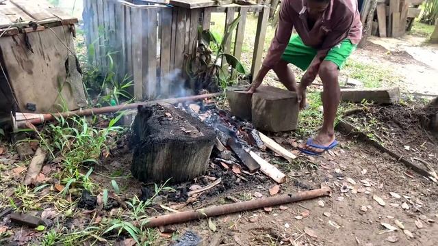 VIDA REAL NA AMAZÔNIA/LIMPANDO O TAMBAQUI/COTIDIANO DOS RIBEIRINHOS.