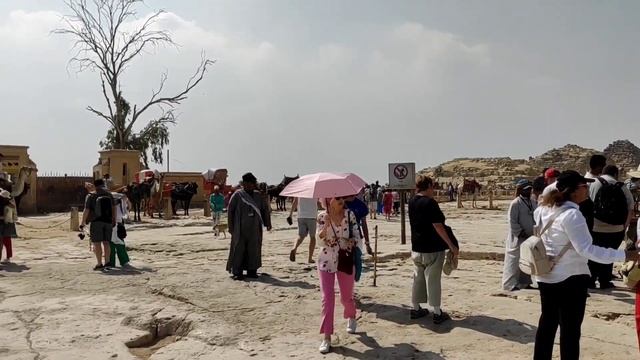 Пирамиды Египта. смотреть онлайн