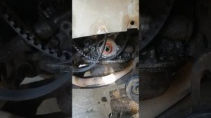 замена сальника коленвала на Дэу нексия 8 клапанов