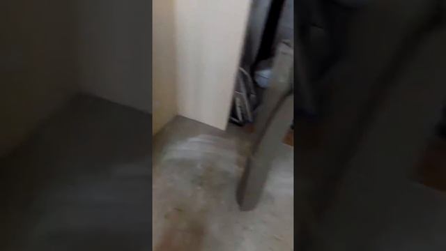 шумоизоляция пола под ламинат . тексаунд и виброфлор смотреть онлайн