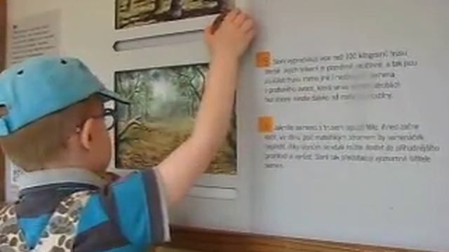 Пражский зоопарк в новом павильоне слонов (9208) смотреть онлайн