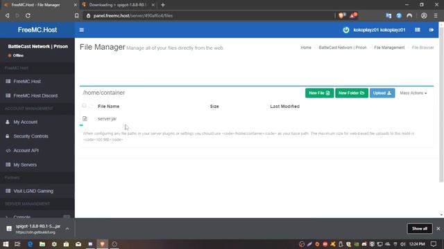 How to setup your server on FreeMC Starter (Fix server not starting) (Free MC Server) смотреть онлайн
