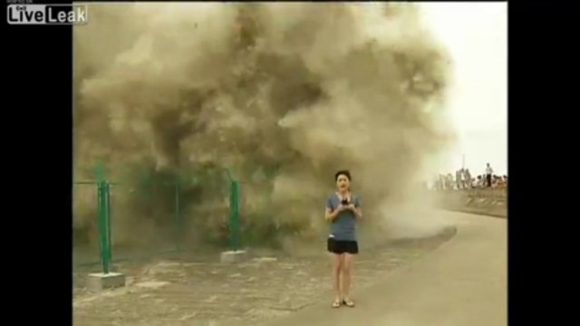 Журналистка смылась смотреть онлайн