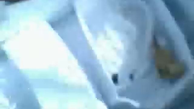распаковка айфон 5 новый из бумаги смотреть онлайн