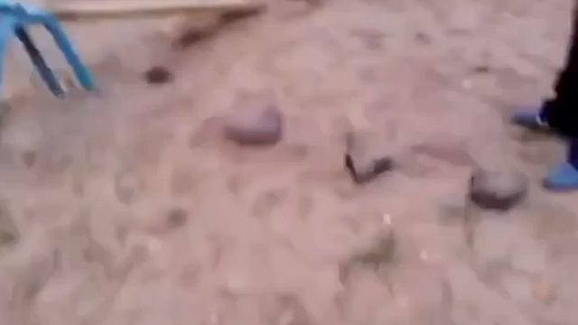 Прилетело качелей по голове смотреть онлайн