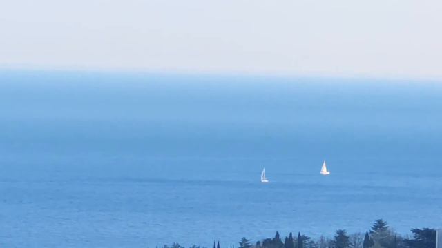 Белеет парус одинокий. Ялта. 22.04.21. Чёрное море. Крым. смотреть онлайн