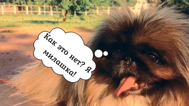 А у нас во доре есть девчонка одна смотреть онлайн