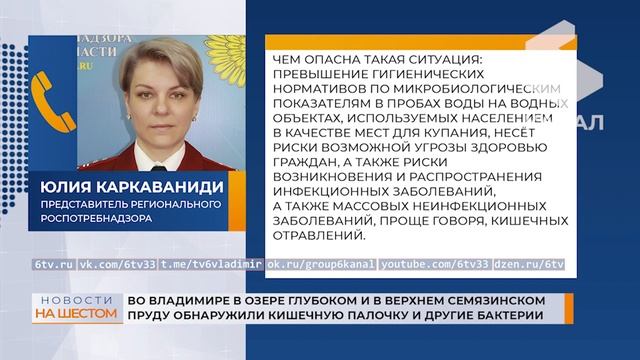 Во Владимире в озере Глубоком и в Верхнем Семязинском пруду обнаружили кишечную палочку смотреть онлайн