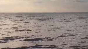 Рыбинское водохранилище.  Деревня Милюшино.