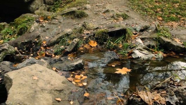 Субботник: инструкция по применению смотреть онлайн