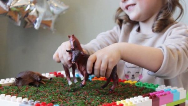 Nika Plays with Toys - Magic zoo game for Kids