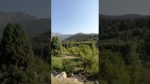 Дикая природа Узбекистана! горы Ташкентская область