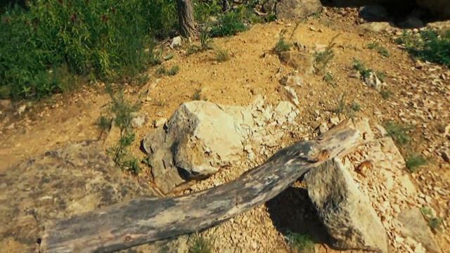 ЦАРЕВ КУРГАН /САМАРСКАЯ ОБЛАСТЬ/ ПОСЕЛОК ВОЛЖСКИЙ/ смотреть онлайн