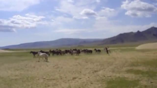 ? Cazando caballos en Mongolia ???? смотреть онлайн