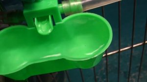 НЕ ПОКУПАЙТЕ ЭТИ ПОИЛКИ ДЛЯ КУР -  недостатки и достоинства нипельных поилок