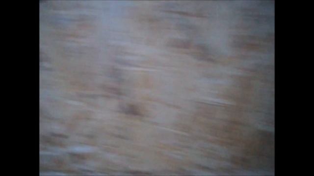 Строим вольер для собаки. Полуфинал Часть 3 смотреть онлайн