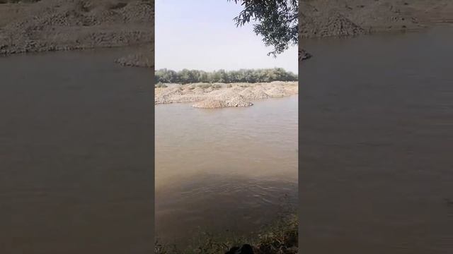 Таджикистан море смотреть онлайн